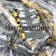 Replacement For Intermec 2415 Keypad (37 keys, F1 ~ F12)
